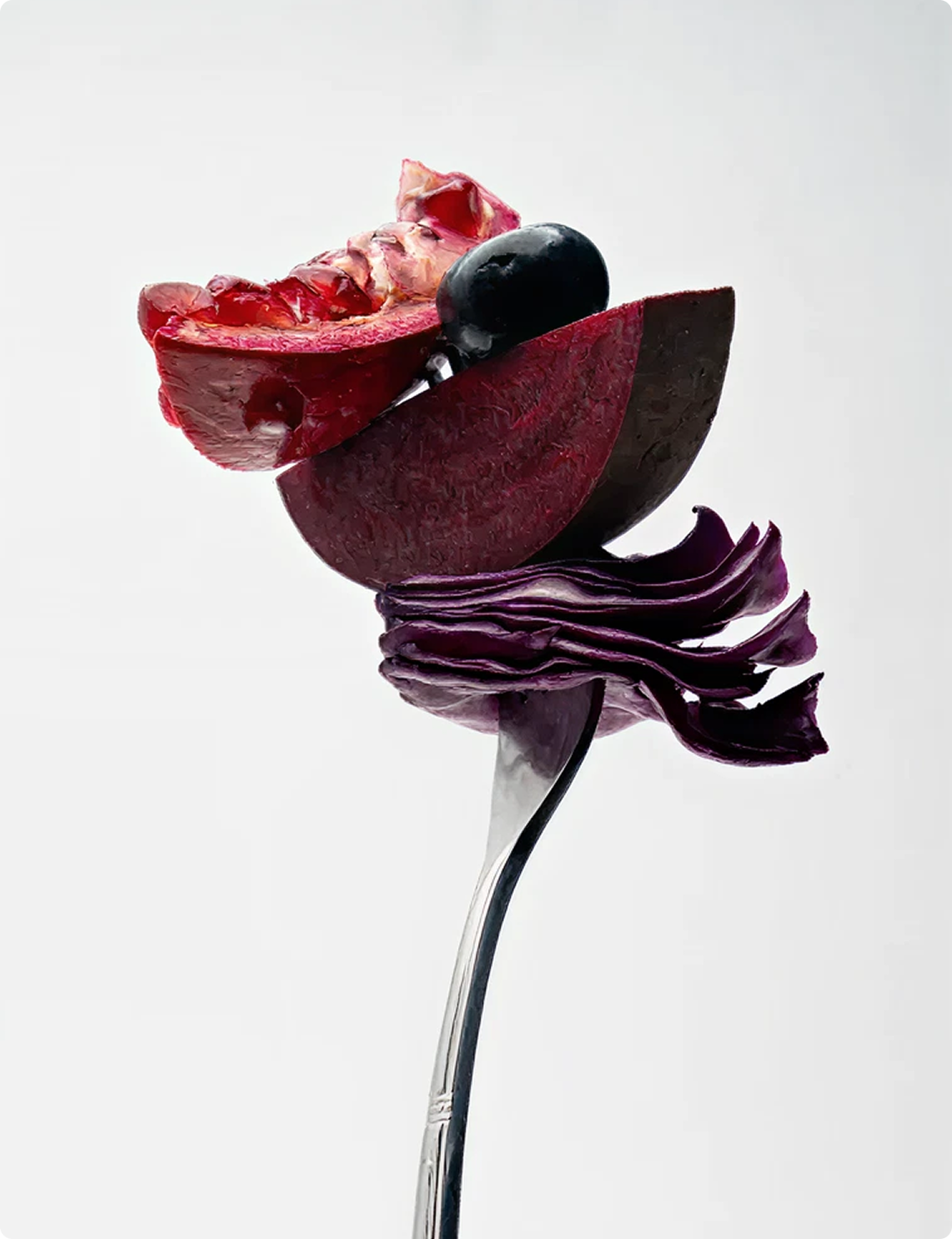 우리는 언제부터 ‘씹는 것’을 잊었을까?