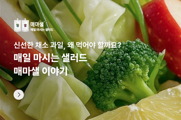 매일 마시는 샐러드 매마샐 이야기