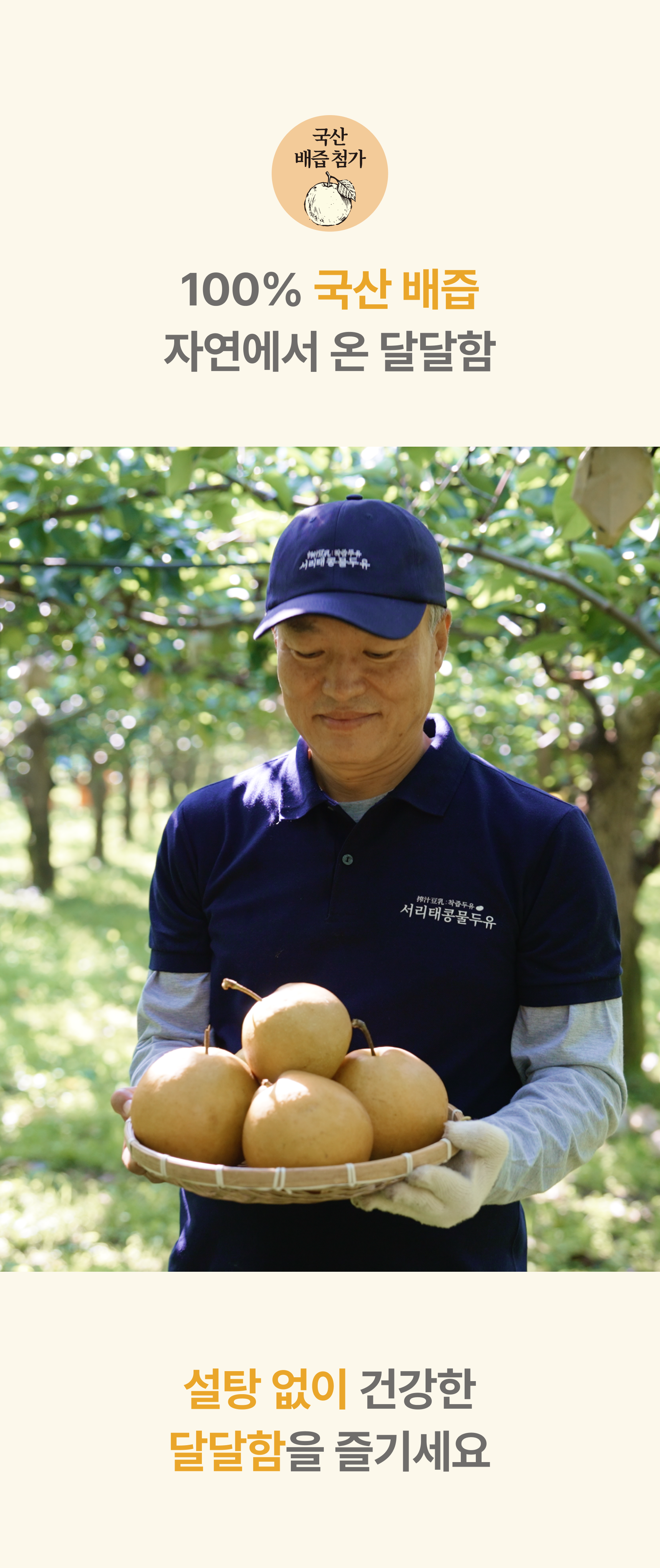 100% 국산 배즙 자연에서 온 달달함 - 배 농장에서 국산 배를 수확하는 모습, 설탕 없이 건강한 달달함을 즐기세요